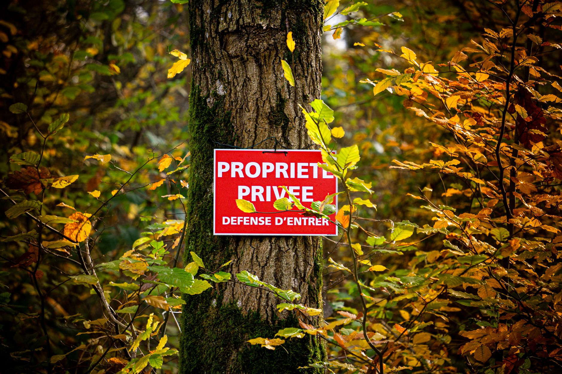 Détective privé à Saint-Ouen-sur-Seine